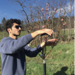 creer une foret comestible