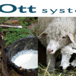 Literie Ott
